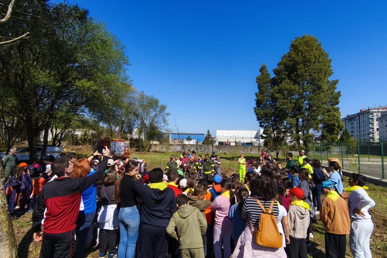 O Porriño celebra o Día da Árbore no Paseo do Louo con máis de 170 alumnos e alumnas  