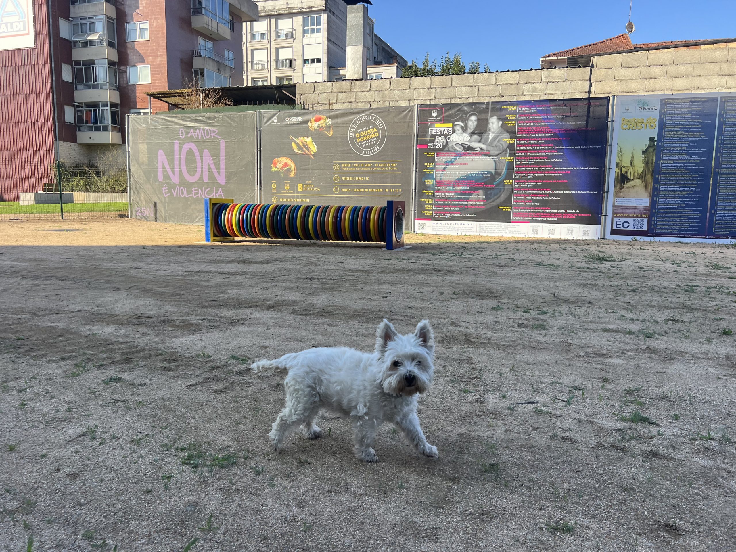 O Concello do Porriño abre o primeiro parque para animais