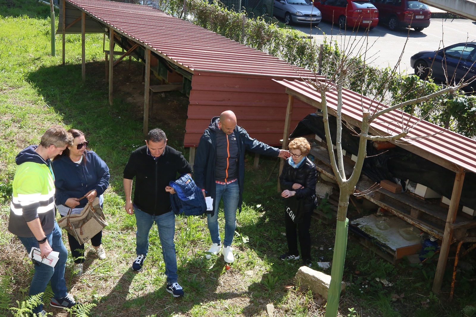 O Concello esteriliza máis dun cento de gatos no que vai de ano dentro do seu plan de protección das colonias felinas
