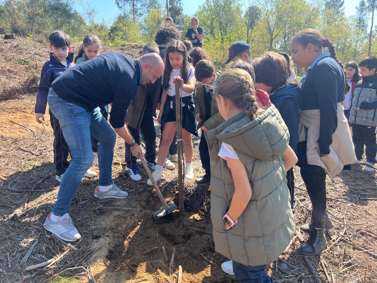 As nenas e nenos do Porriño celebran o Día da Árbore cunha prantación na Risca